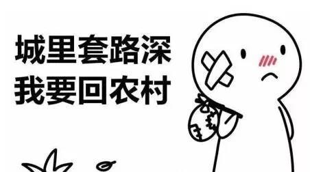 裝修，為什么選擇三葉石裝飾？